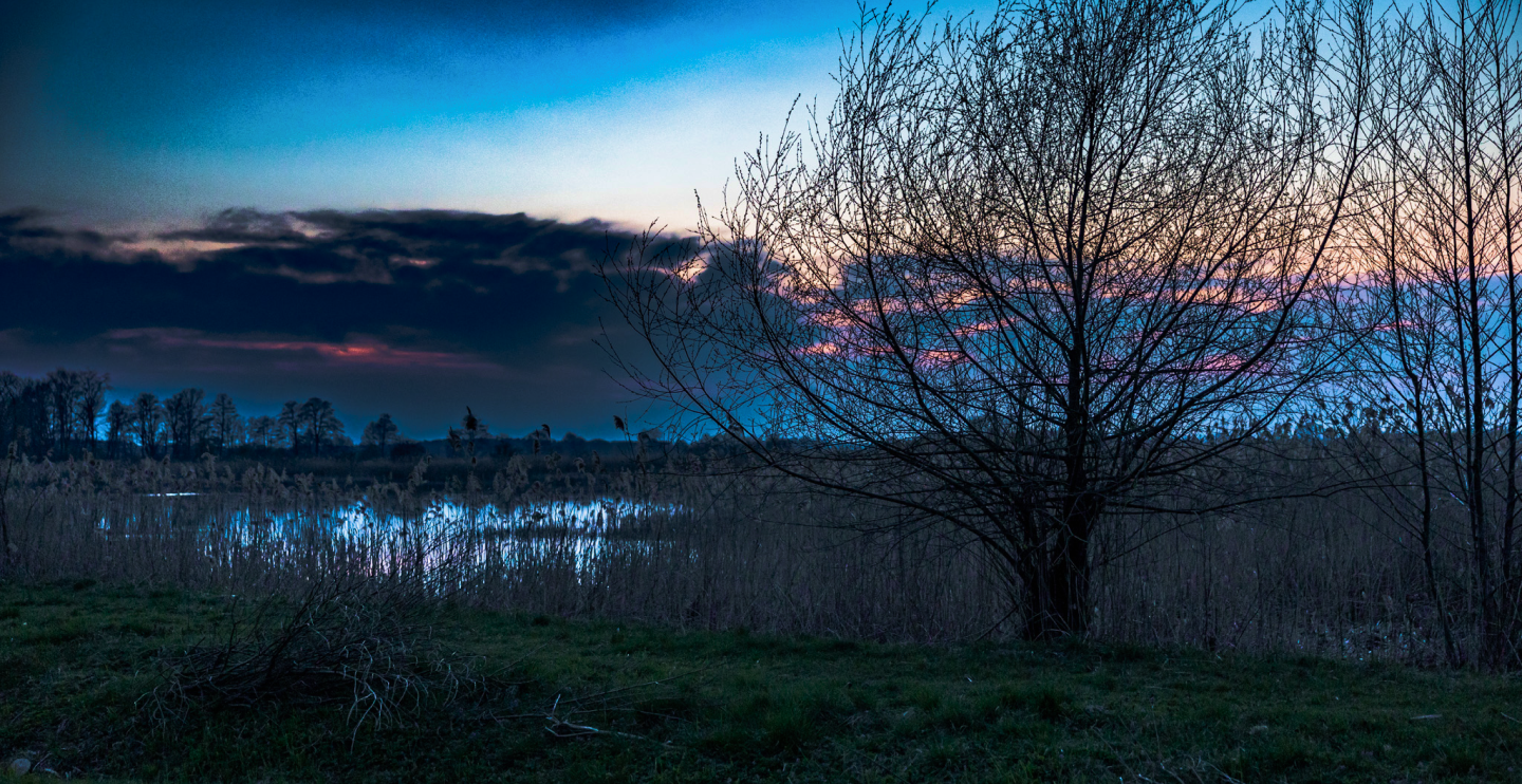 Experience Background